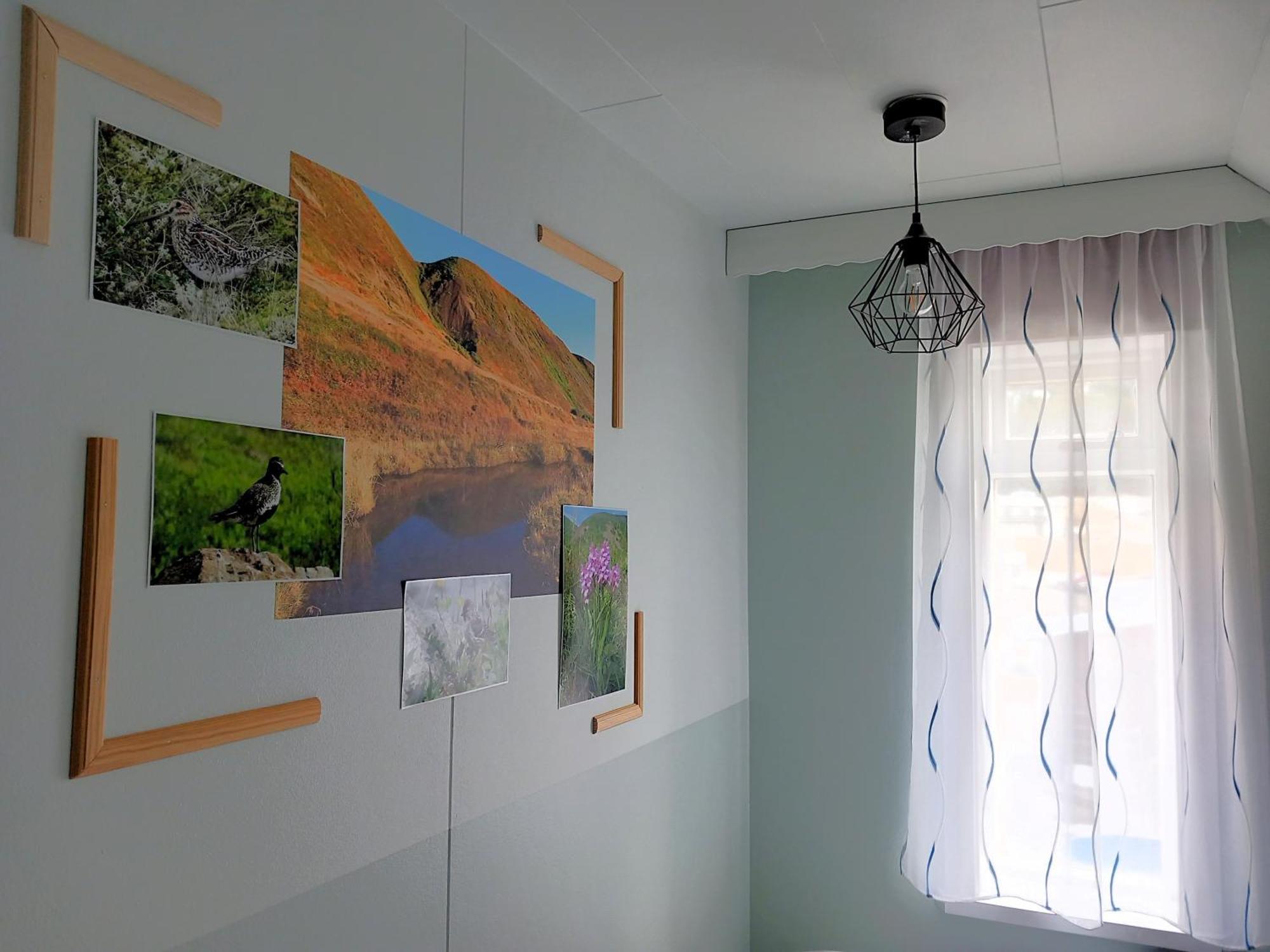 Húsavík Green Hostel Exteriér fotografie